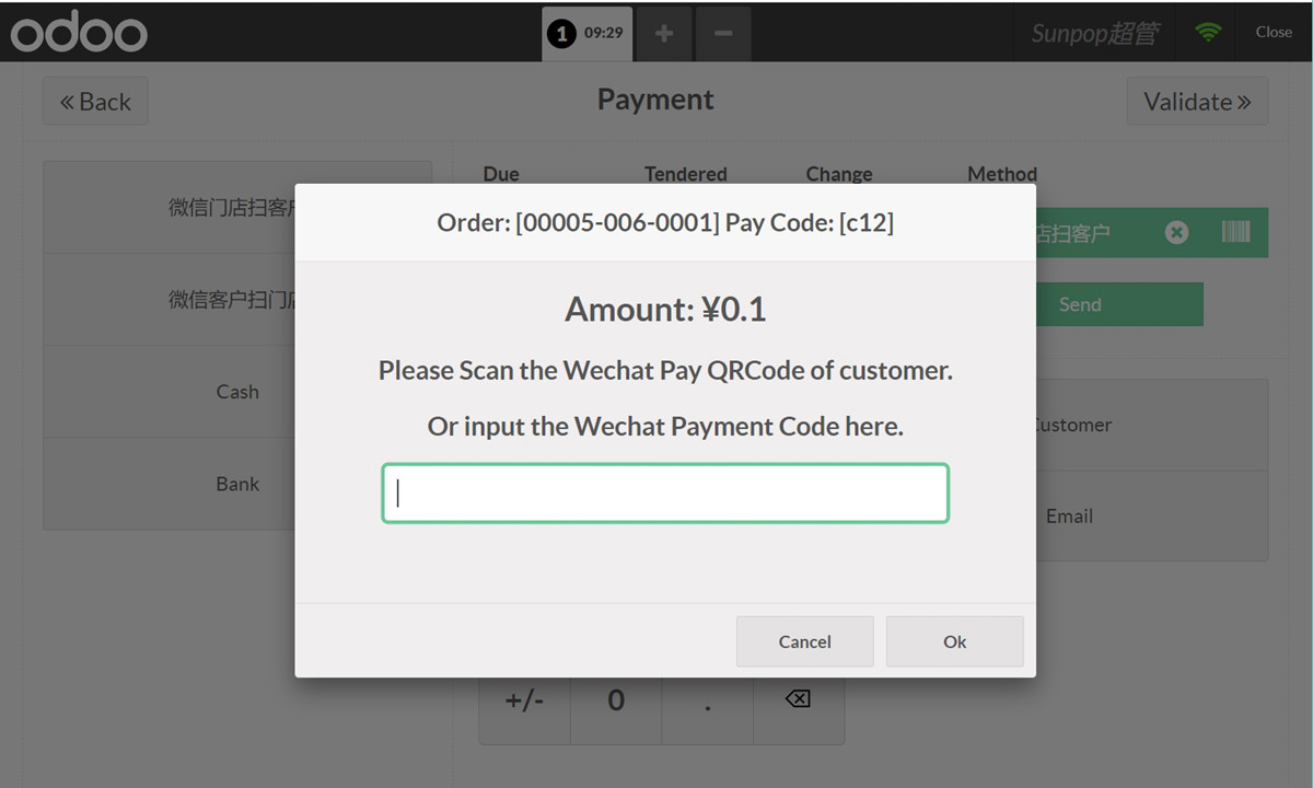 POS Wechat Pay, Website wechat payment