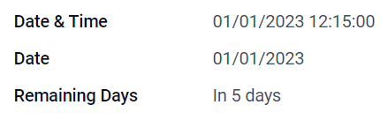 具有不同小组件的日期和时间字段示例