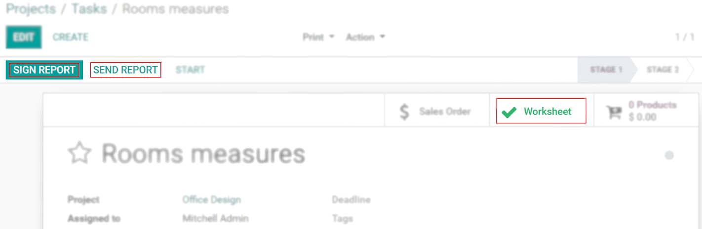 Options worksheet and send report being shown under a task in Odoo Project