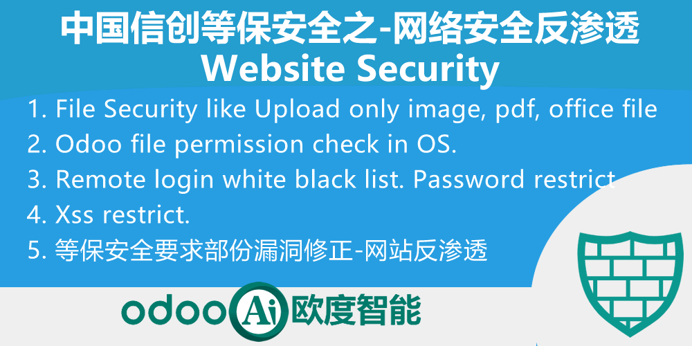 中国信创国产化-odoo等保测评安全网站安全反渗透
